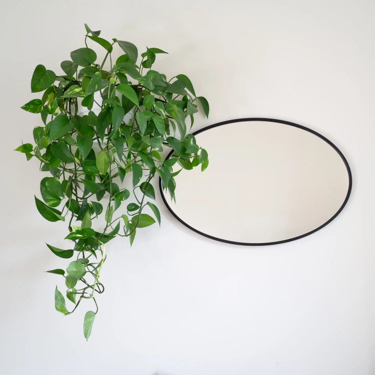 Lustro owalne OVO MINIMAL - w czarnej, cienkiej ramie, poziome
